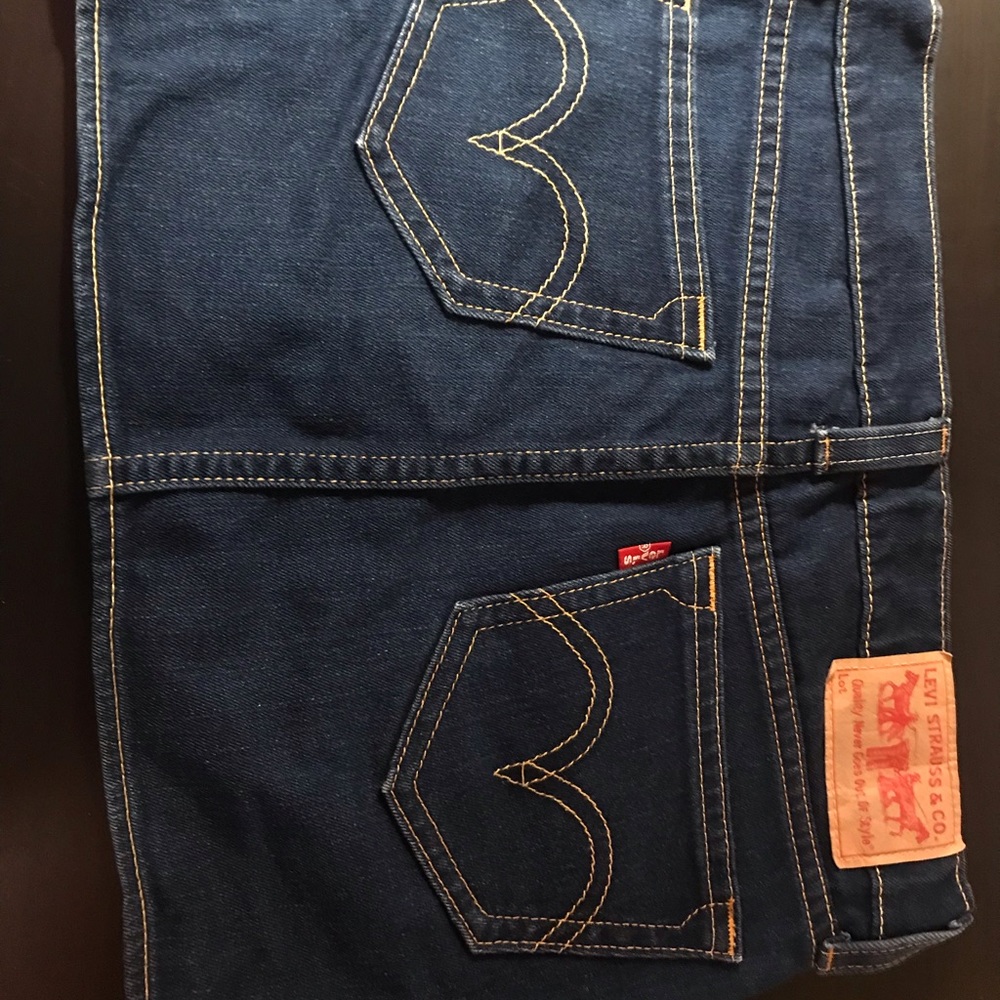 Levi’s skirt